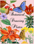 Botanical Drawing Plates Book - Vintage Floral Plates for Framing