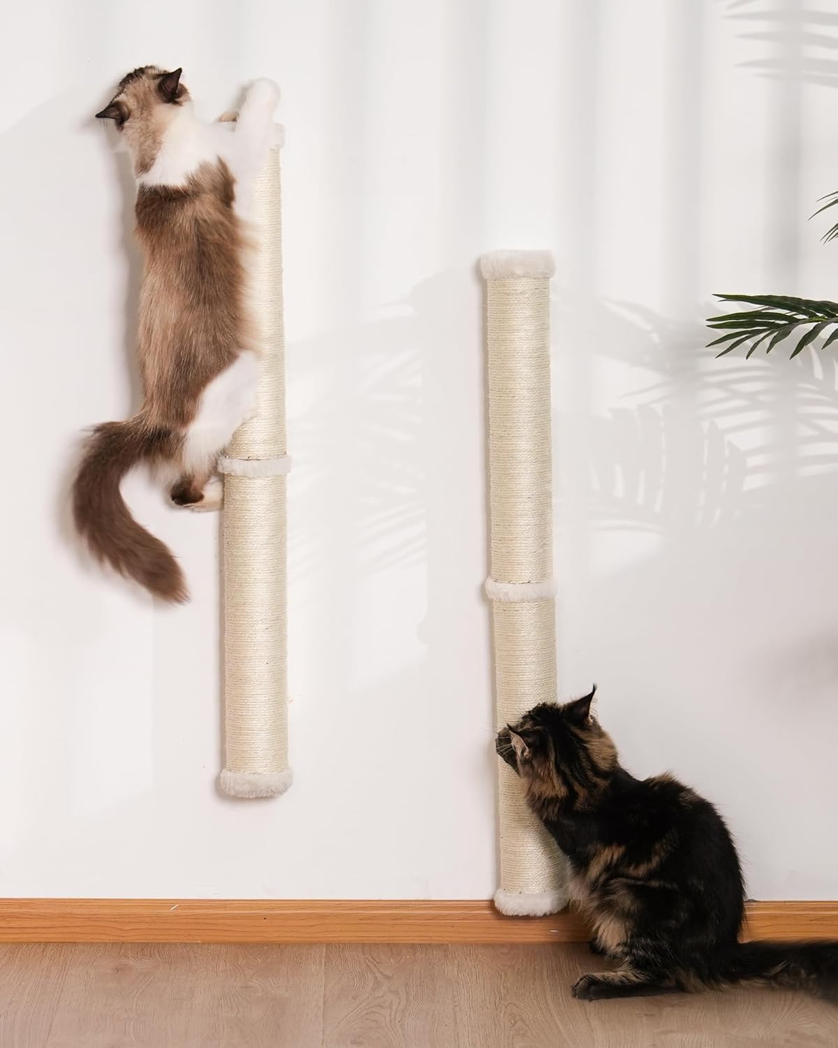 34-Inch Wall Mounted Cat Scratcher for Large Adult Cats