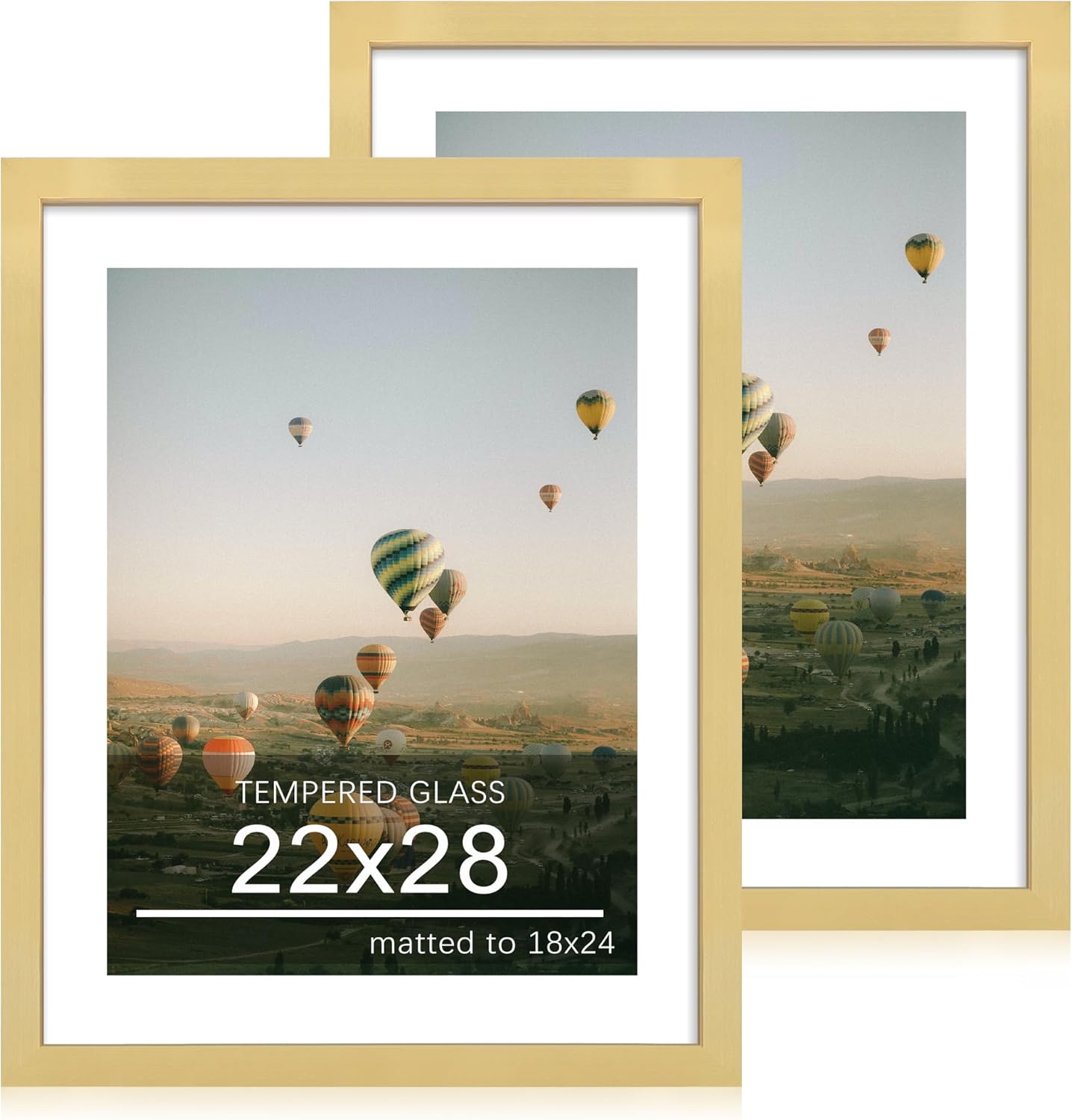 22x28 Picture Frame Set of 2 with Mat for 18x24 Photos