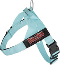 BULLHUG Adjustable Dog Harness for Bulldogs and Pugs - No Choke
