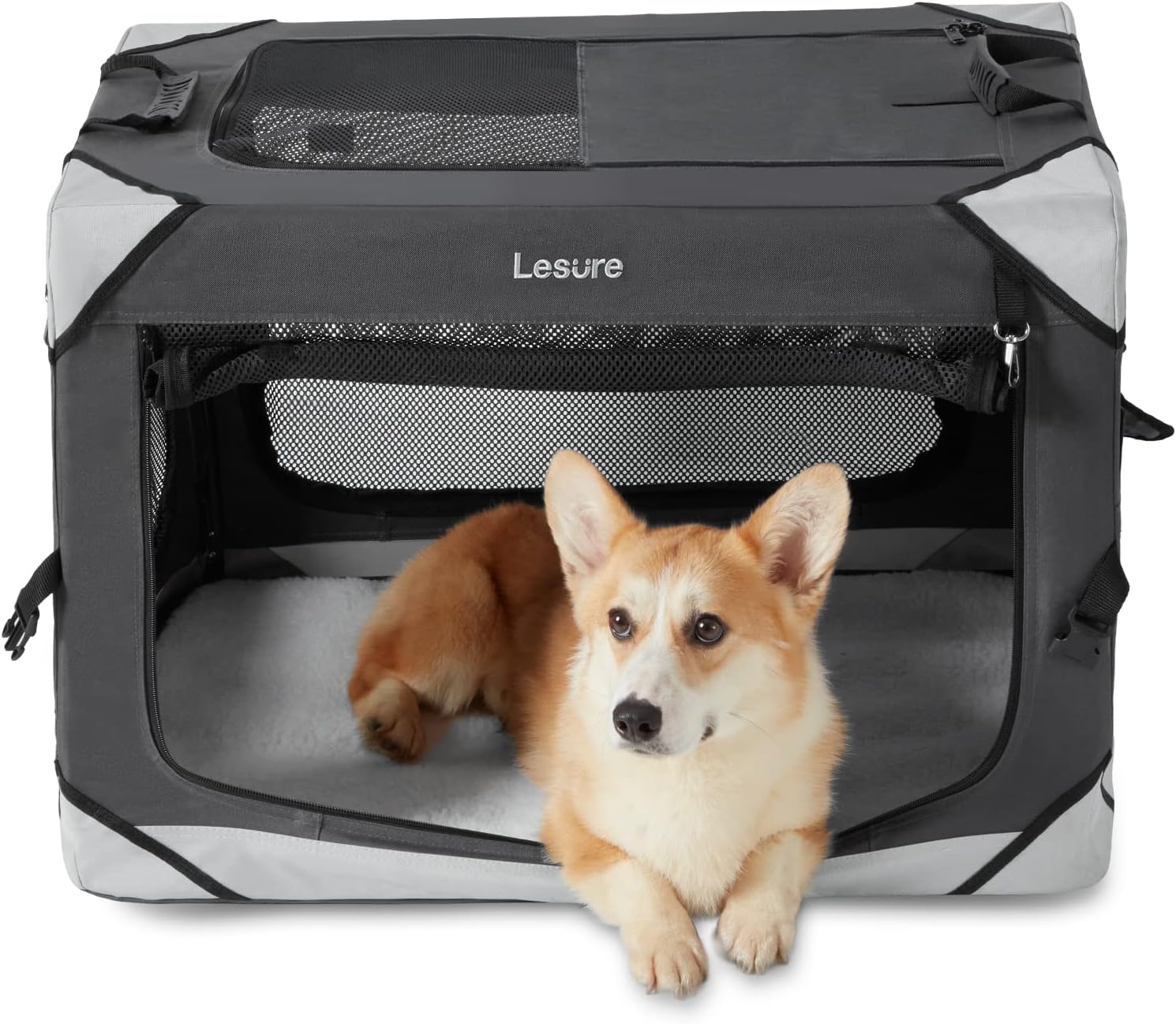 Lesure Collapsible Dog Crate - Portable Travel Kennel for Medium Dogs