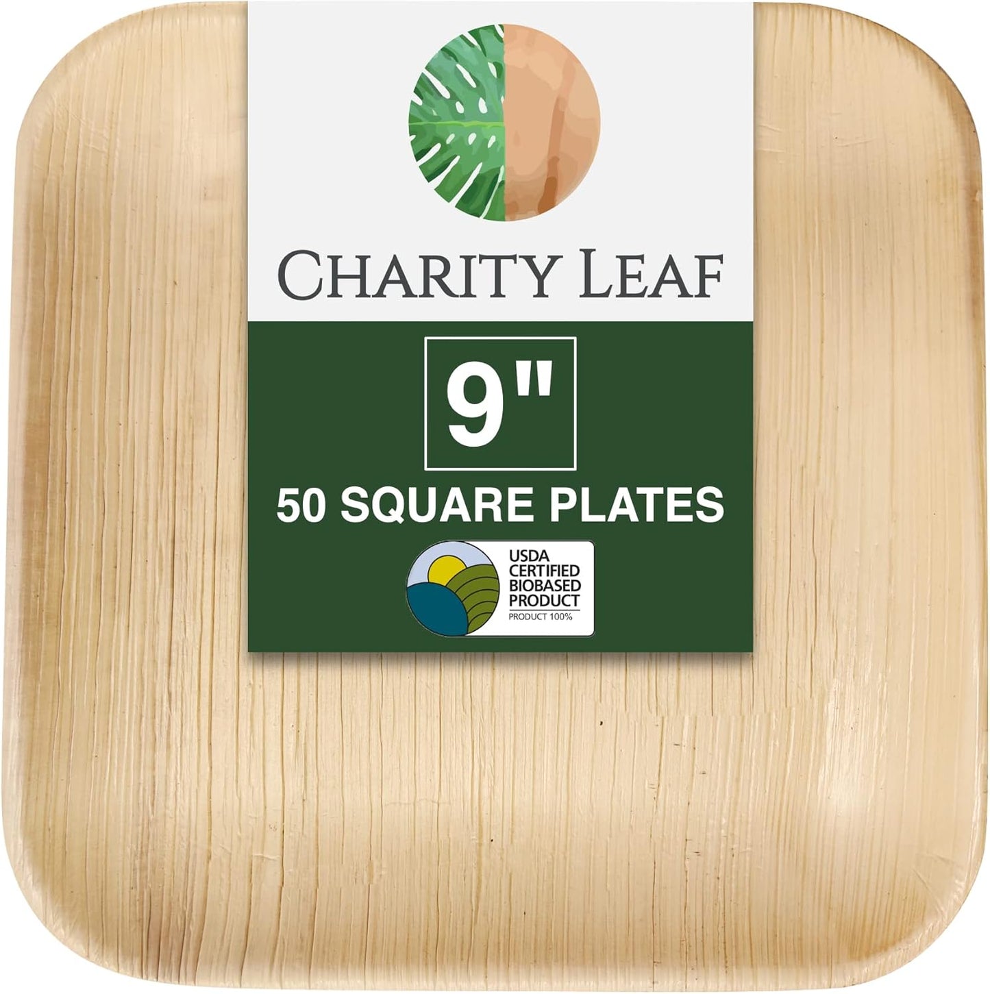 Disposable Palm Leaf 9 Inch Square Plates for Eco-Friendly Events