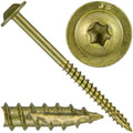 10 x 2-1/2 in Bronze Star Multipurpose Torx Wood Screw - Case