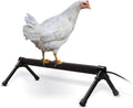 Heated Chicken Perch Thermo - Prevents Frozen Toes, Small 26