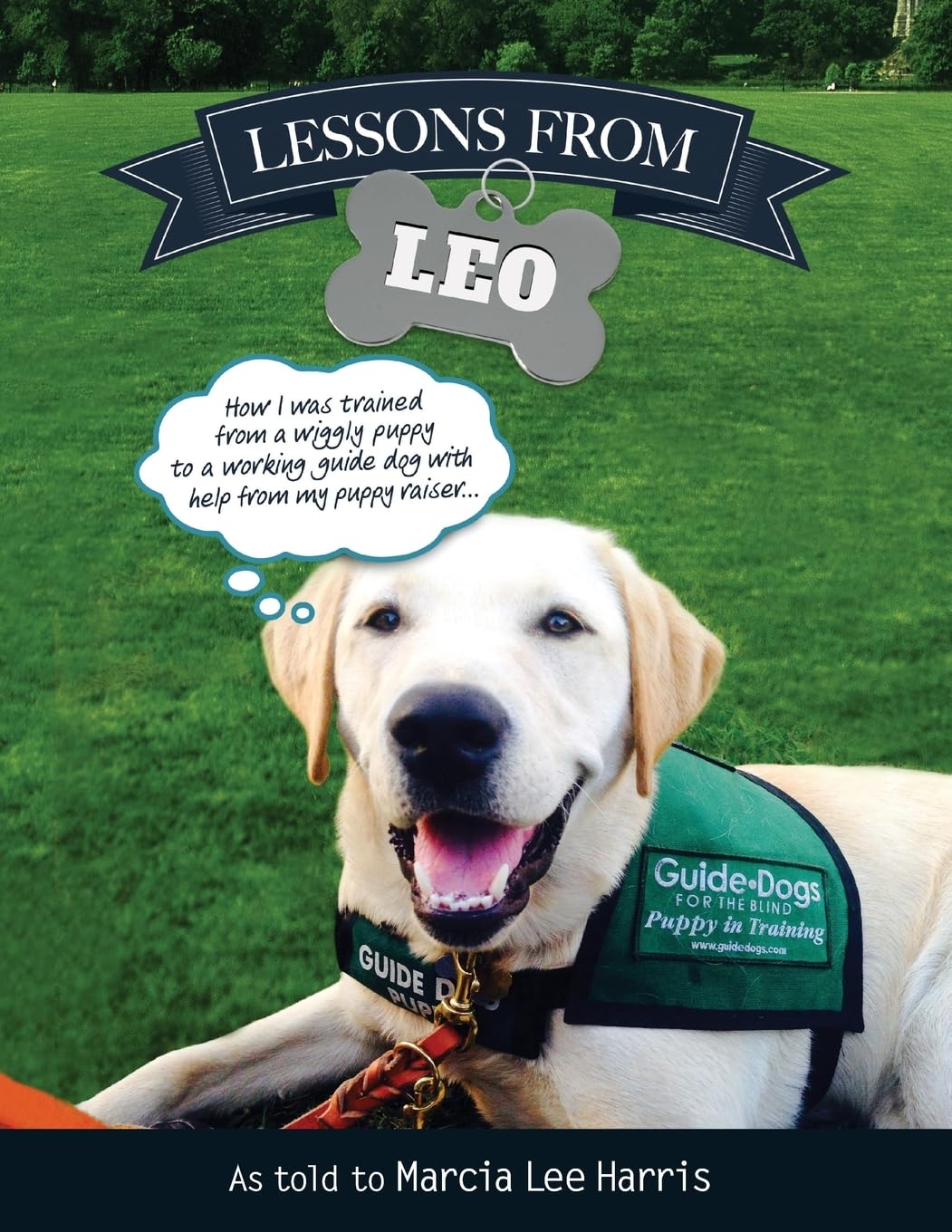 Lessons From Leo: A Heartwarming Guide Dog Raising Journey