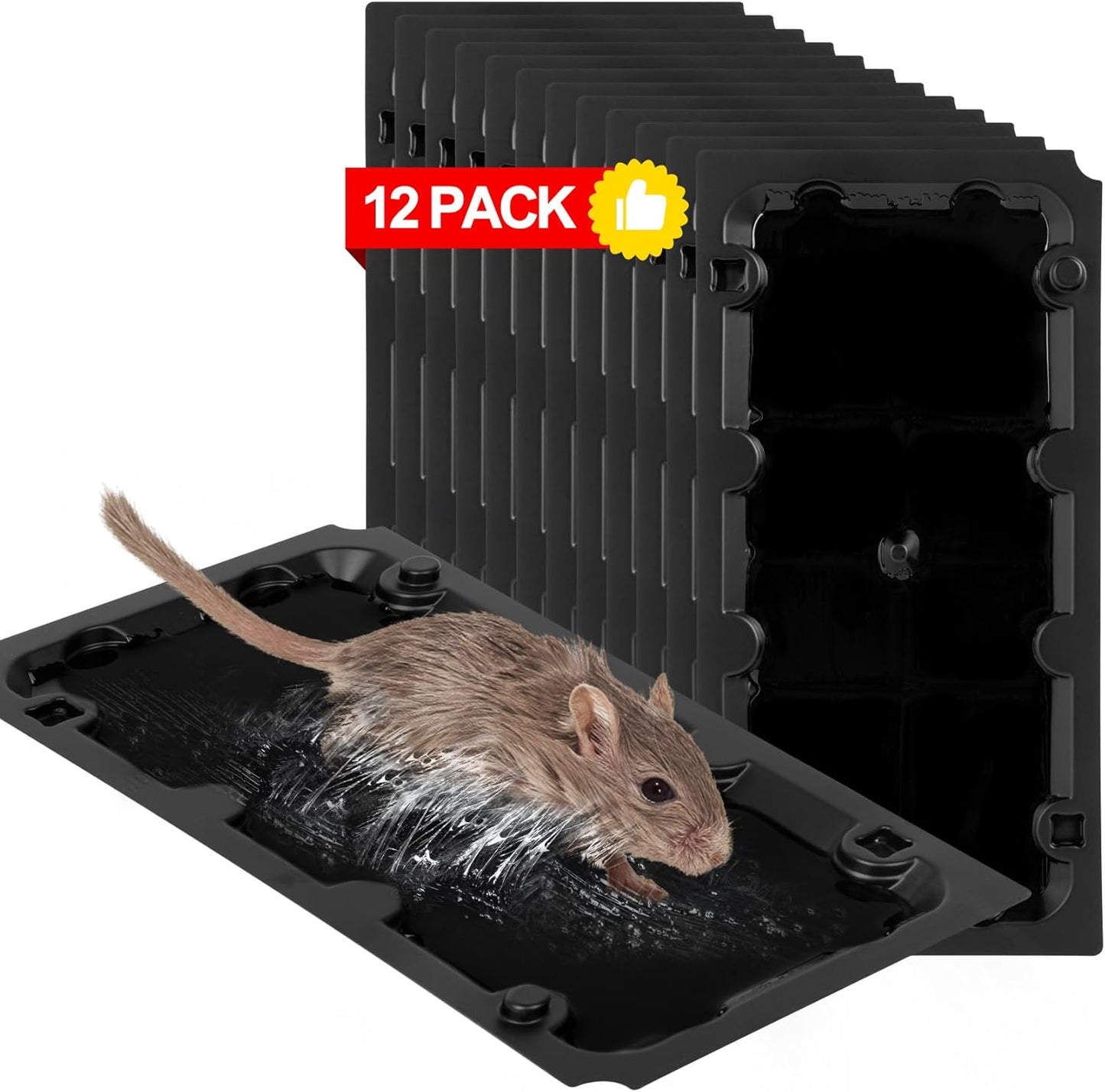 Wanqueen 12 Pack Peanut Pheromone Mouse Traps - Large Size, Guaranteed Indoor Rodent Control!