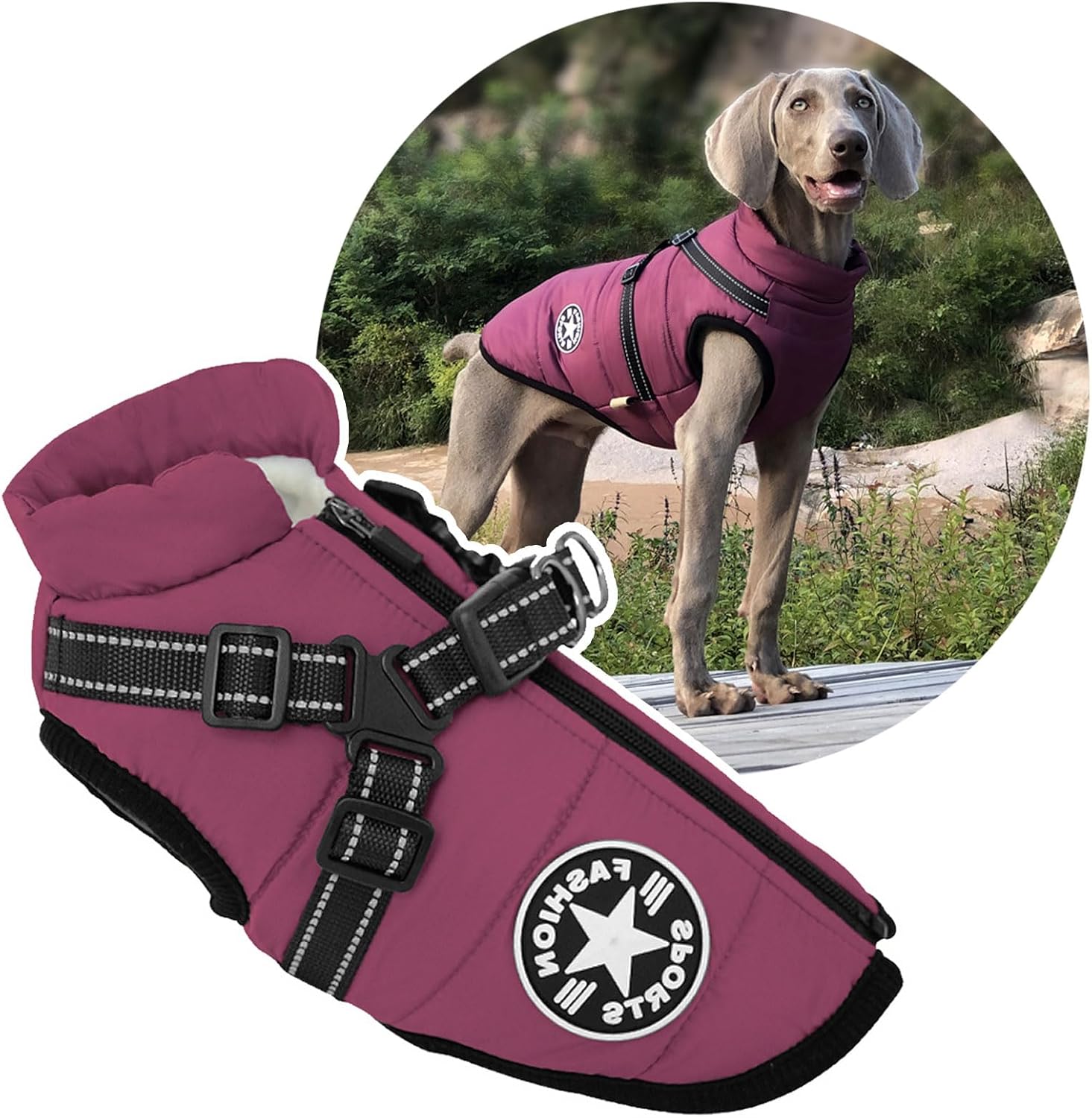 2 in 1 Large Dog Winter Coat Harness for Cold Weather Comfort