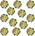 Timgle 12 Pcs Green Artificial Artichokes Decorative Set - Large