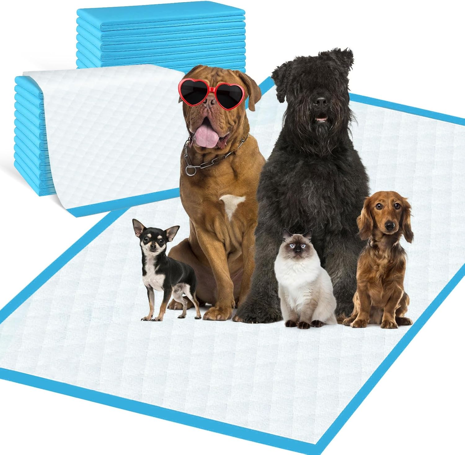 Extra Large Disposable Pee Pads for Dogs & Cats 31x55 Inches