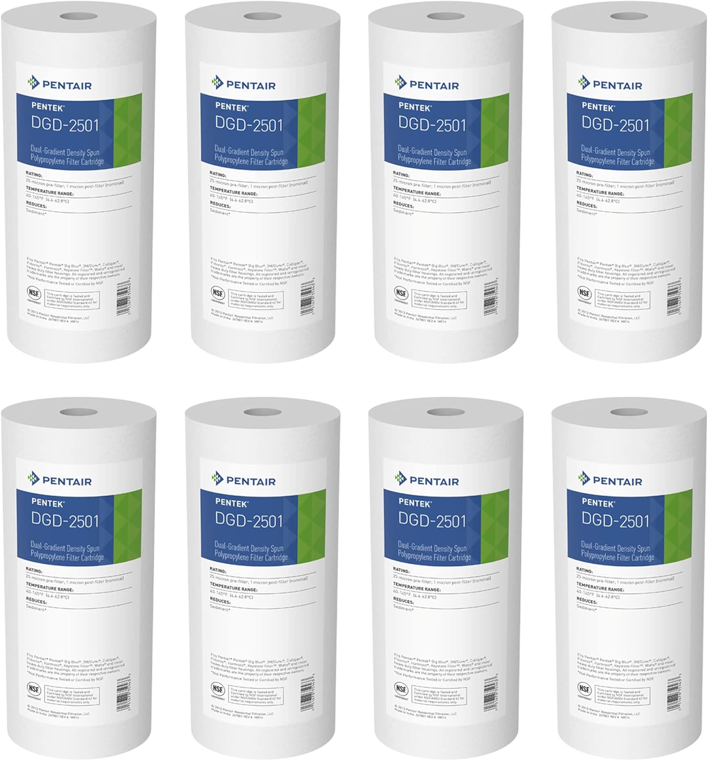 Pentair Pentek DGD-2501 Big Blue Water Filter for Clean Water