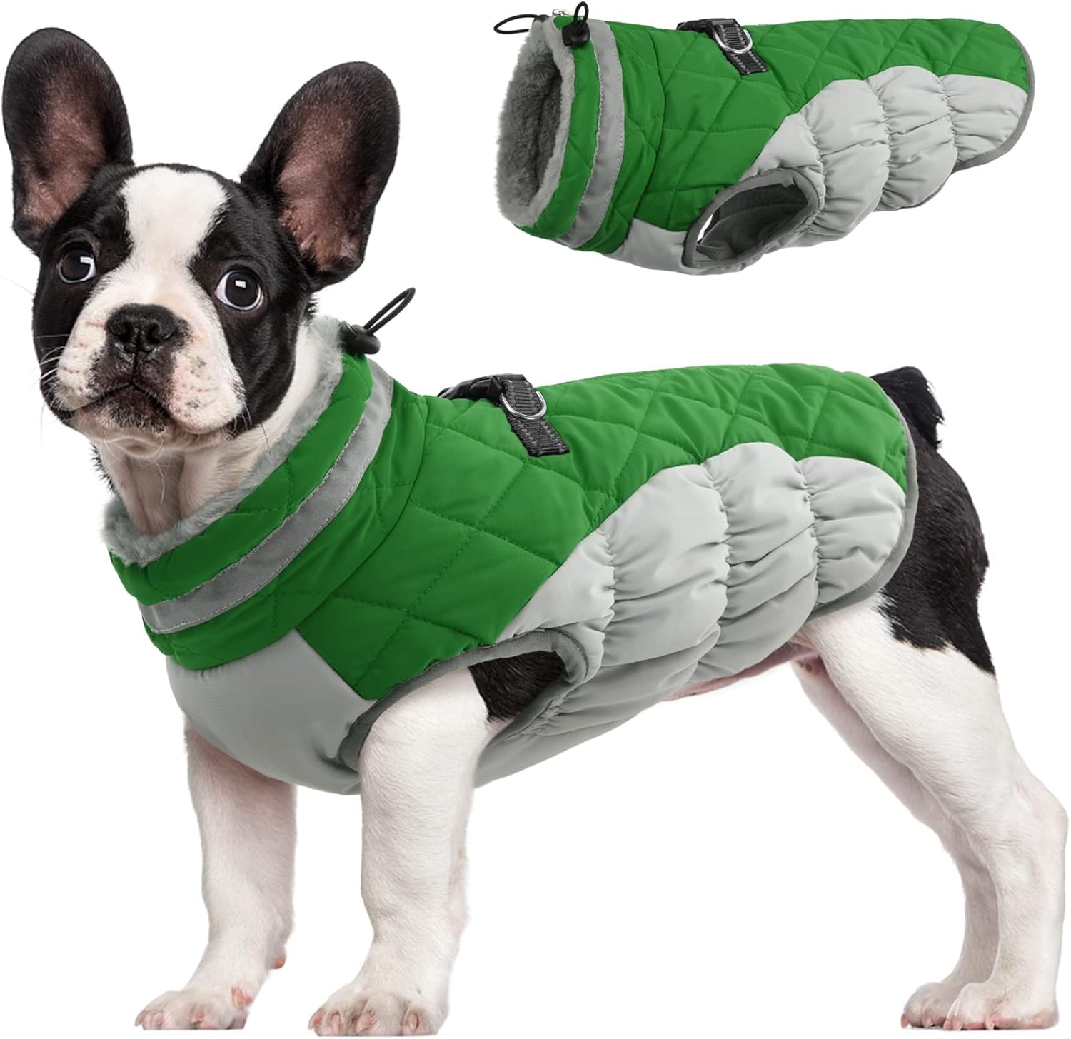 FUAMEY Dog Coat for Small Dogs - Waterproof Winter Jacket