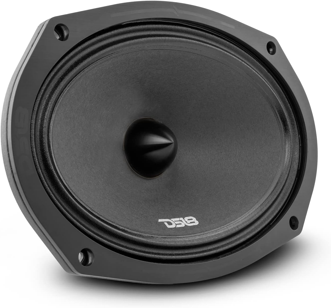DS18 PRO-ZXI694BM 6 X 9 Inches Pro Audio Loudspeaker Review