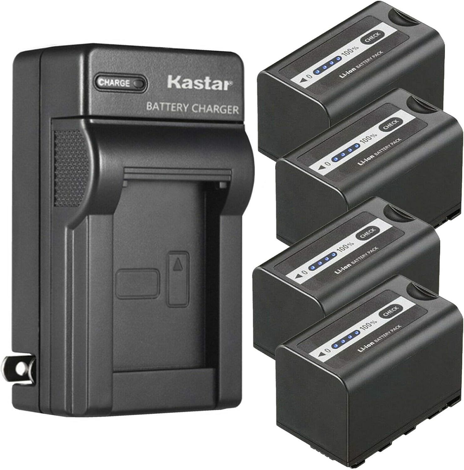 Kastar 4-Pack Battery and AC Wall Charger for Panasonic Cameras