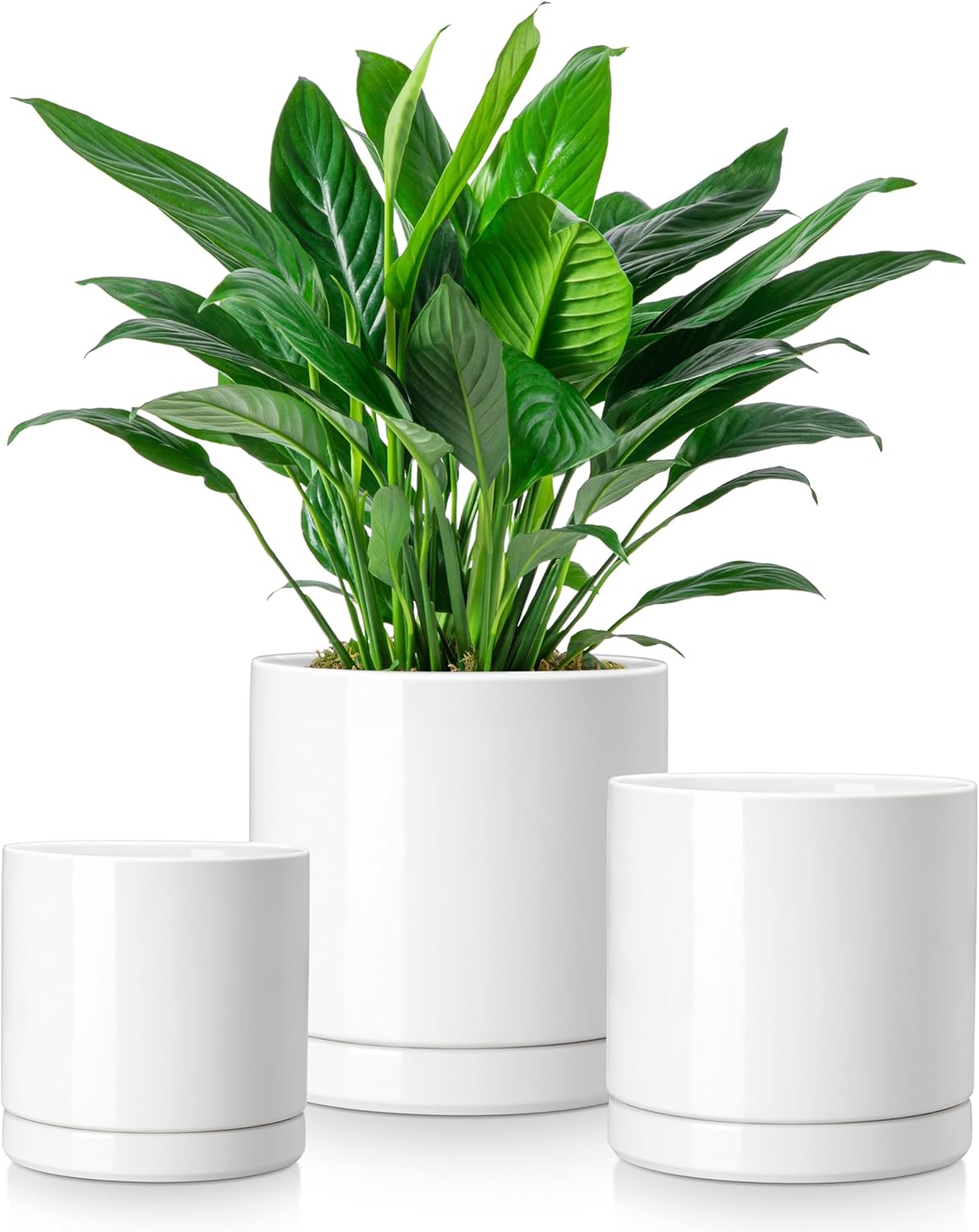 vancasso Ceramic Plant Pots - Stylish 3 Piece Planters Set
