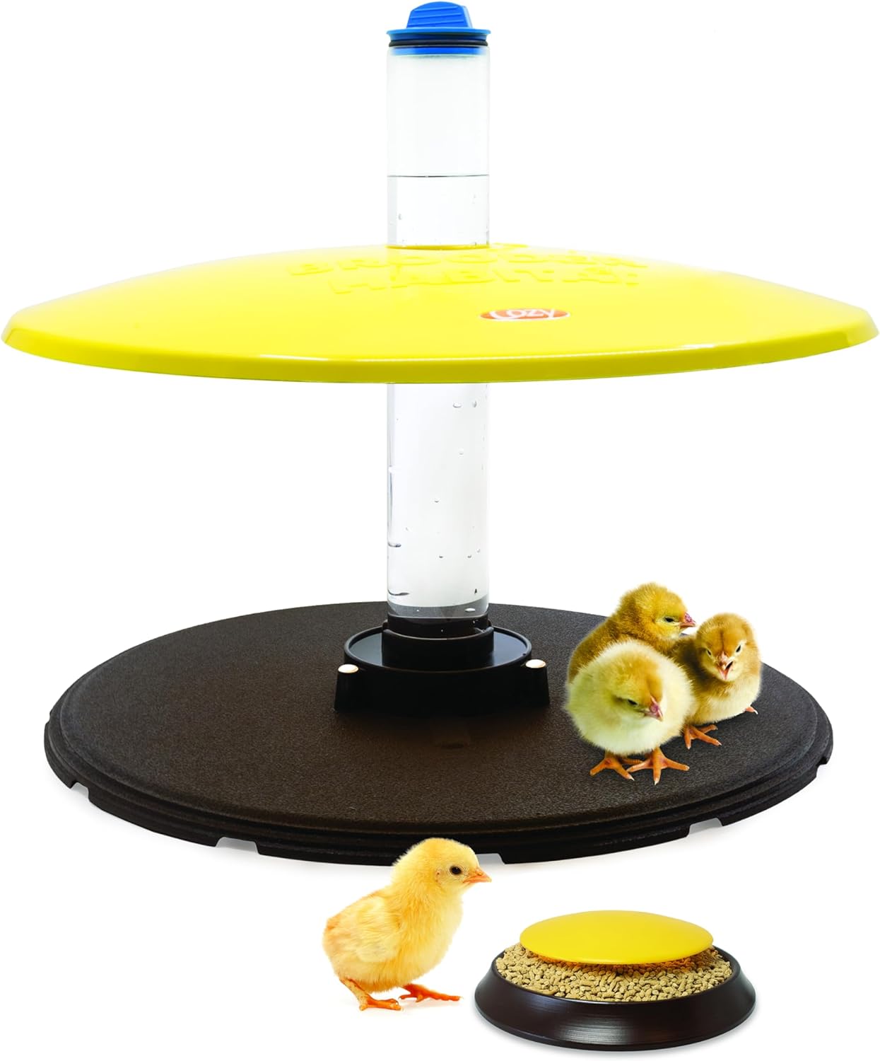 Safe & Cozy 36W Heated Brooder for Chicks