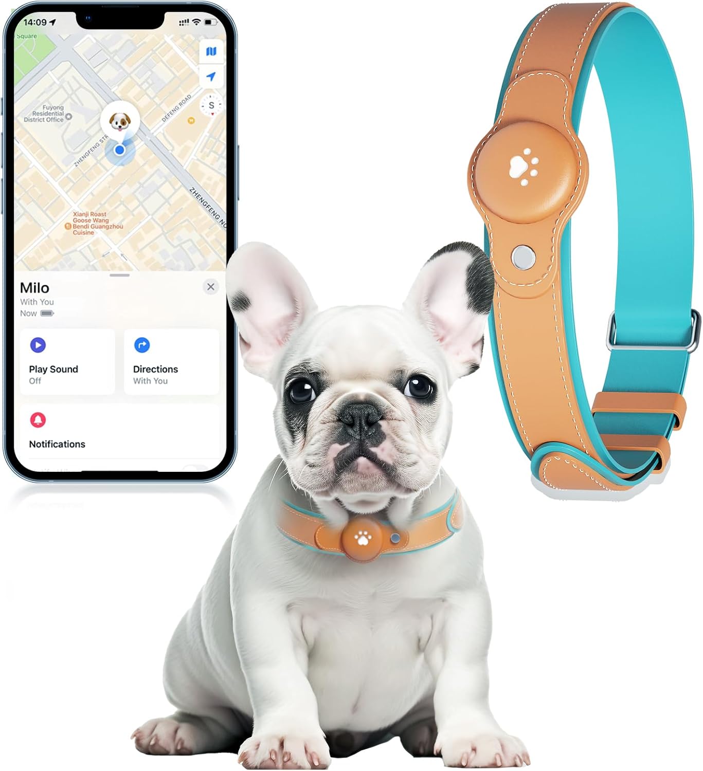 2-in-1 GPS Tracker for Dogs: Smart Collar with Real-Time Location