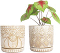 6 Inch Indoor Plant Pots with Drainage Holes and Saucers - Set of 2