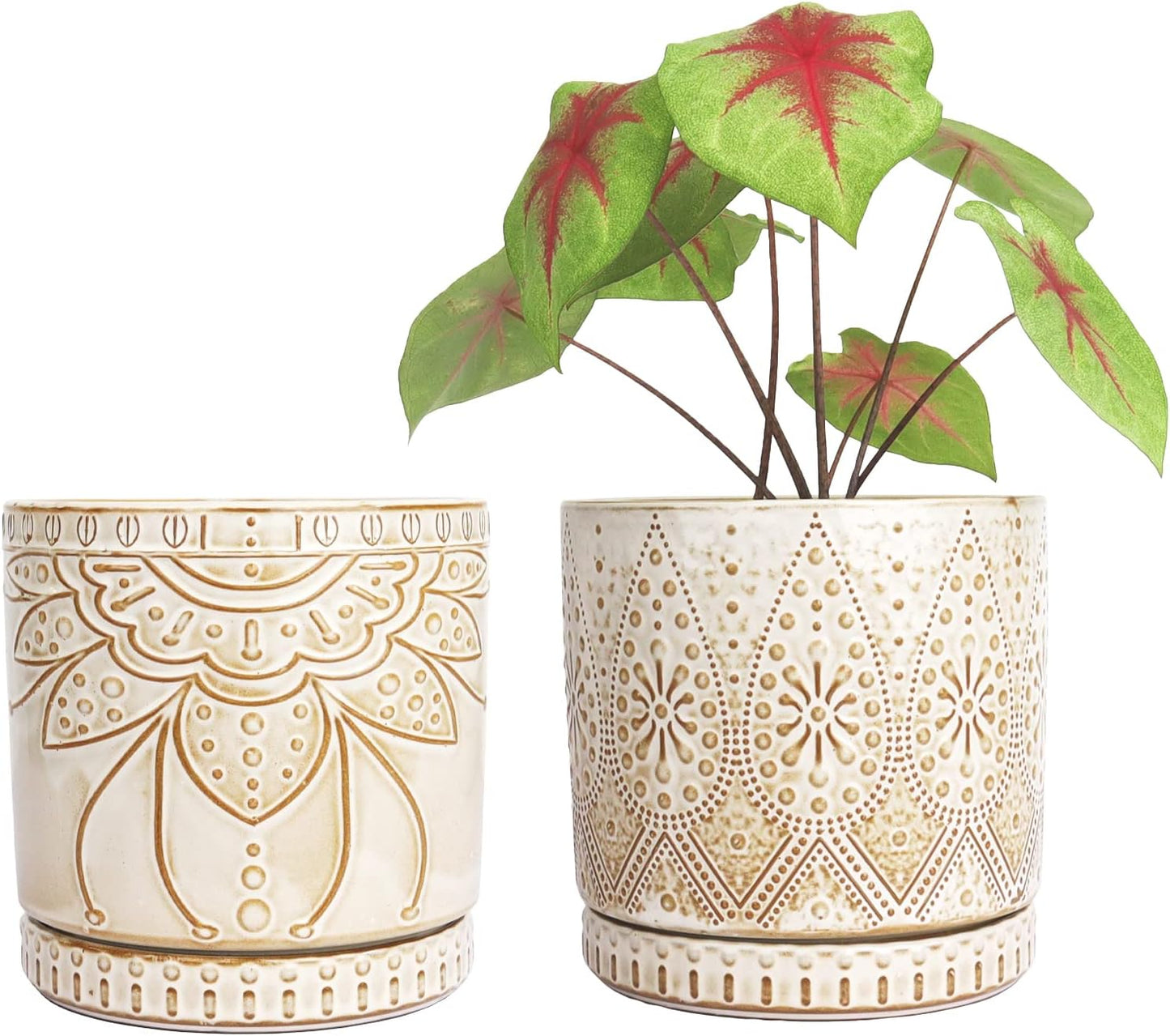 6 Inch Indoor Plant Pots with Drainage Holes for Home Decor