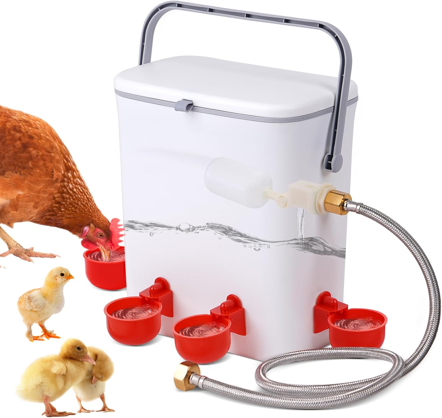 2 Gallon Automatic Poultry Waterer with 4 Cups - Hassle-Free Hydration!