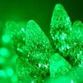 Wintergreen Lighting 70 Light Christmas Light - Bright Green C6 LEDs