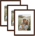 16x20 Picture Frame matted to 11x14 - 3 Pack Dark Brown Wood Grain