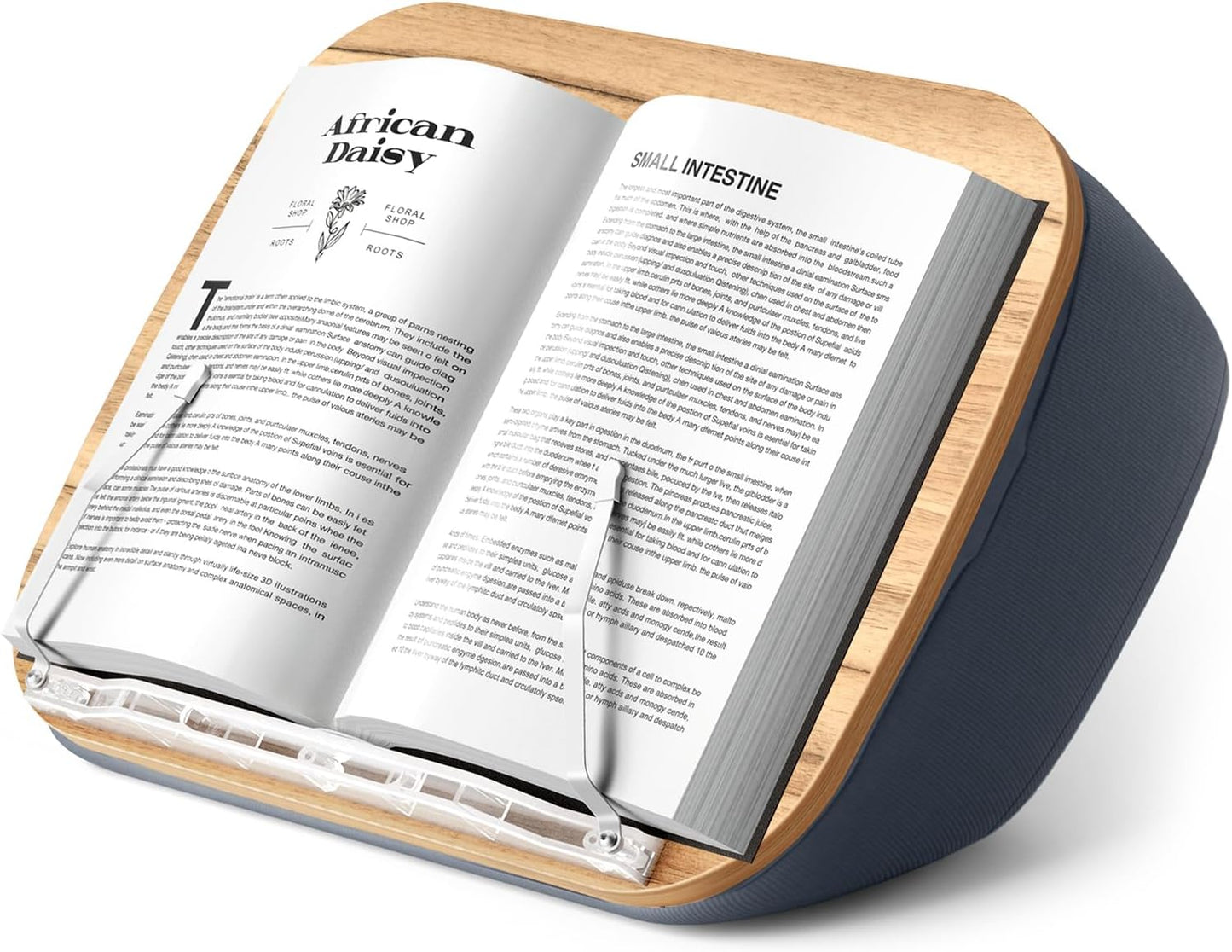 Lap Beanbag Book Stand for Comfortable Hands-Free Reading