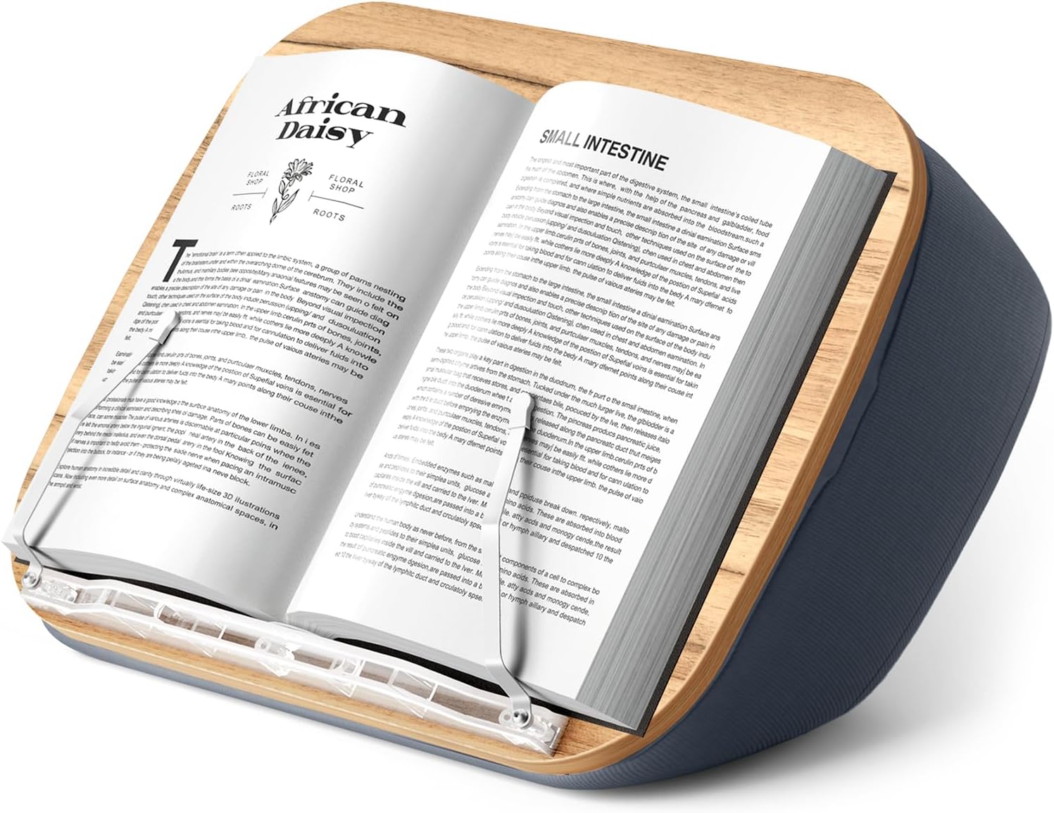 Lap Beanbag Book Stand for Comfortable Hands-Free Reading