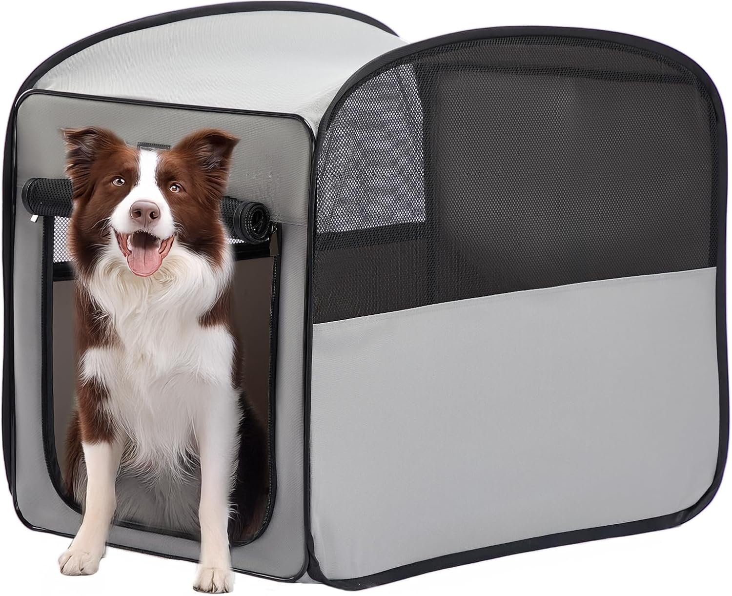 Petsfit Pop Up Dog Crate for Medium Large Dogs, Lightweight Design