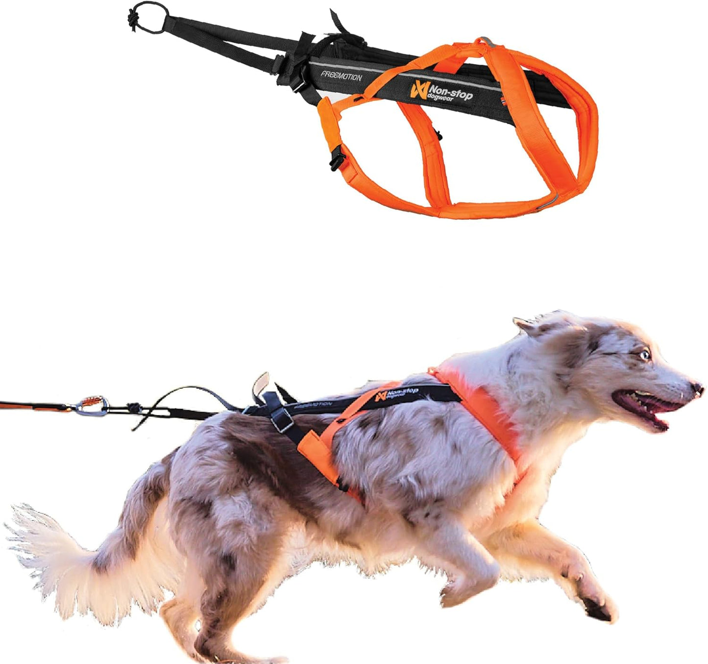 Freemotion Harness 5.0 for Dogs - Perfect for Running and Biking