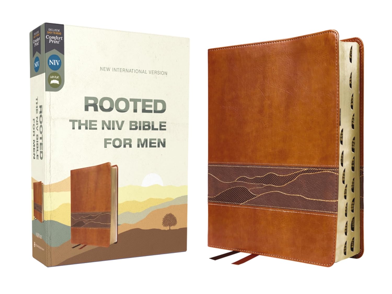 Rooted: The NIV Bible for Men, Comfort Print, Thumb Indexed