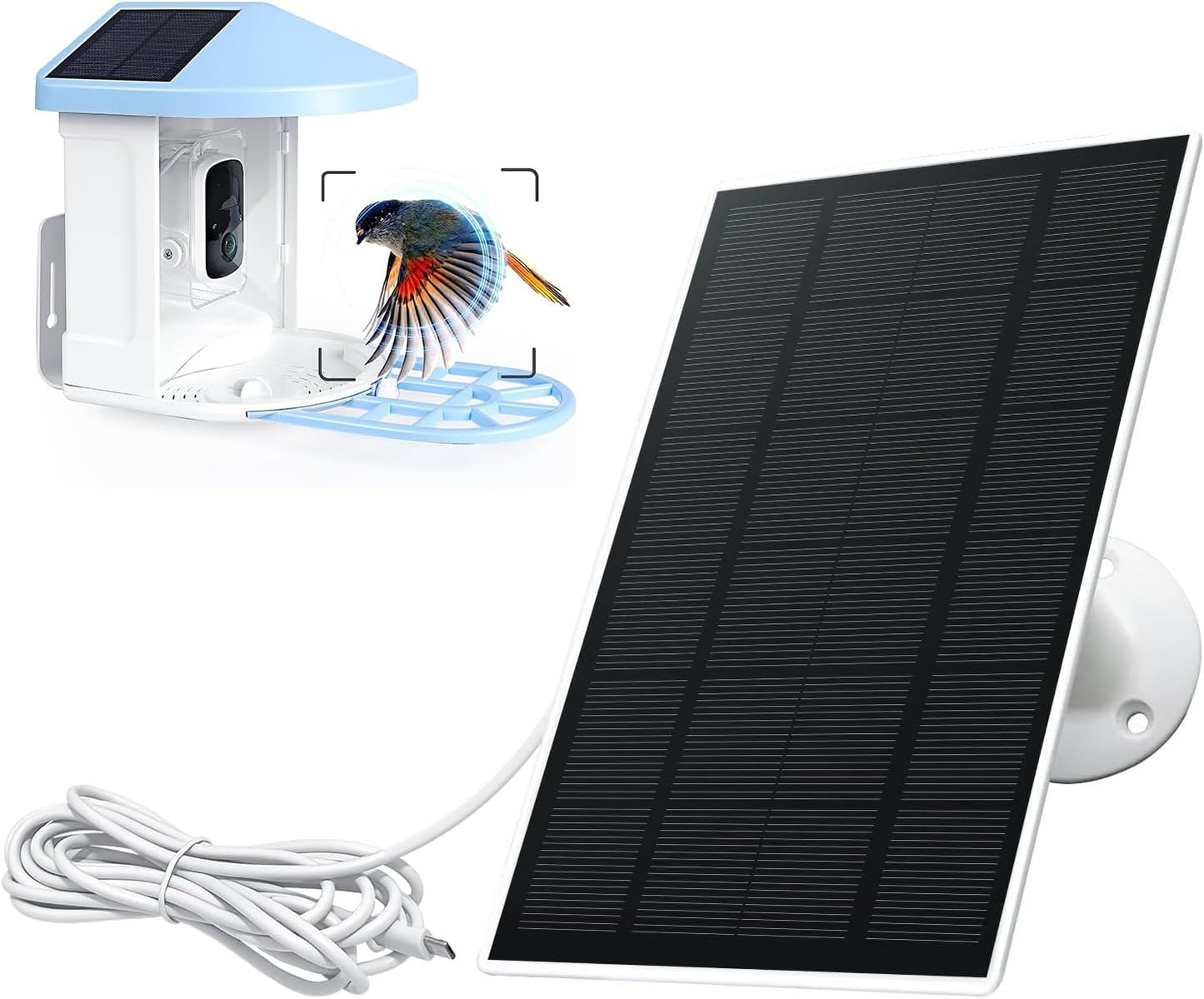 Long Cable Solar Charger: Extended Reach, Type-C Plug