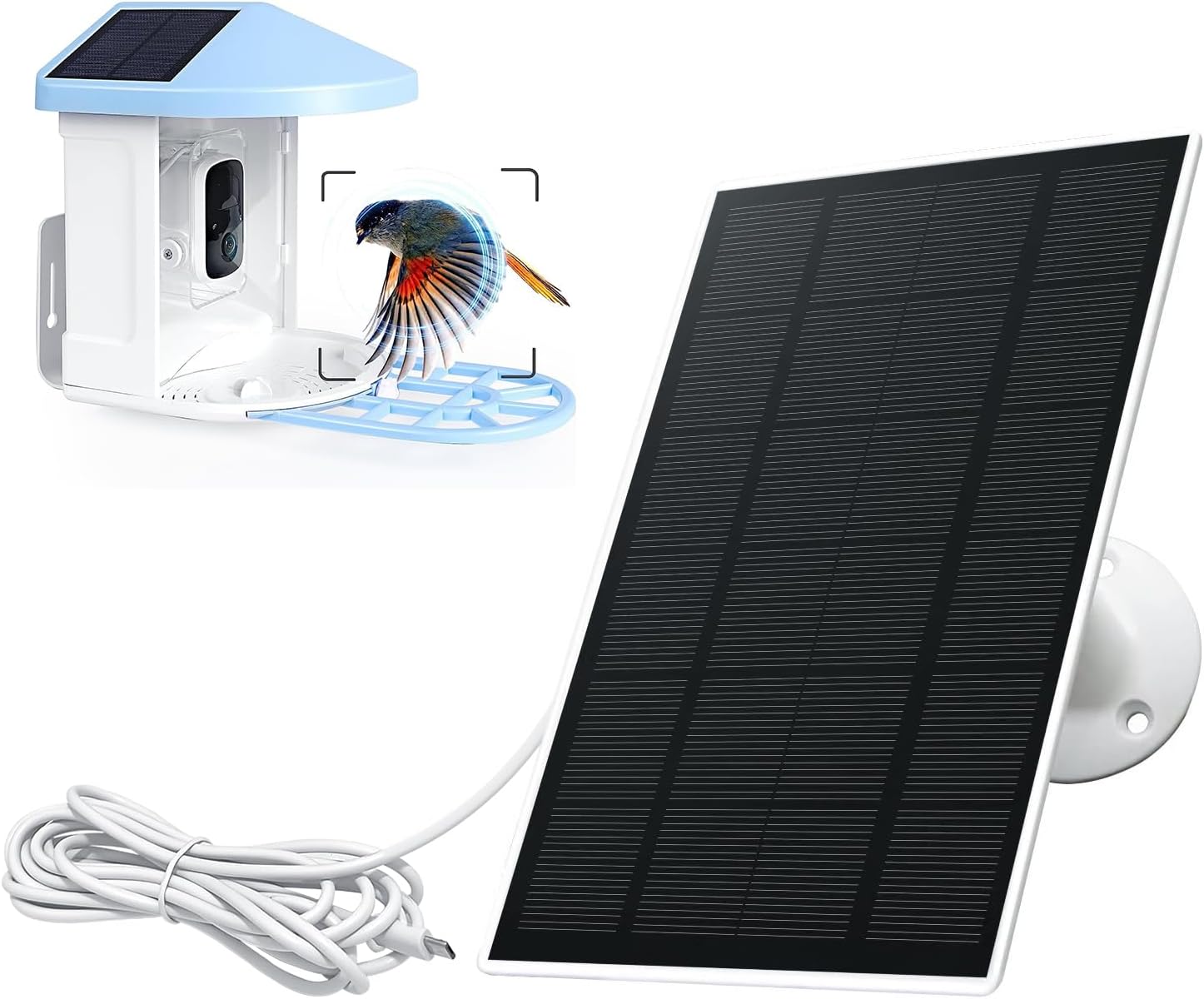 Long Cable Solar Charger: Extended Reach, Type-C Plug