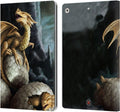 Anne Stokes Golden Treasures Dragons Leather Wallet Case for iPad 10.2