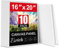 16x20 Canvas Boards 10 Pack - Cotton Primed Panels for Painting