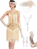 1920s Flapper Dresses for Women Lace V Neck Fringed Great