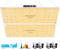 Spider Farmer SF4000 Samsung LM301H EVO LED Grow Light - Powerful 450W