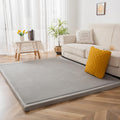 MAXYOYO Grey Coral Velvet Area Rug for Living Room and Bedroom