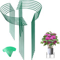 Tall Snake Plant Support Stakes for Indoor Plants - 24 Inch