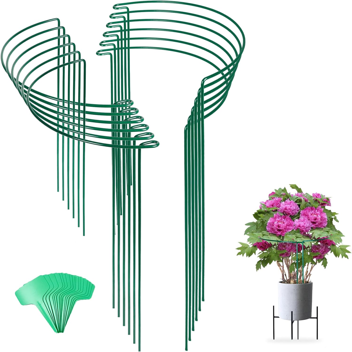 Tall Snake Plant Support Stakes for Indoor Plants - 24 Inch