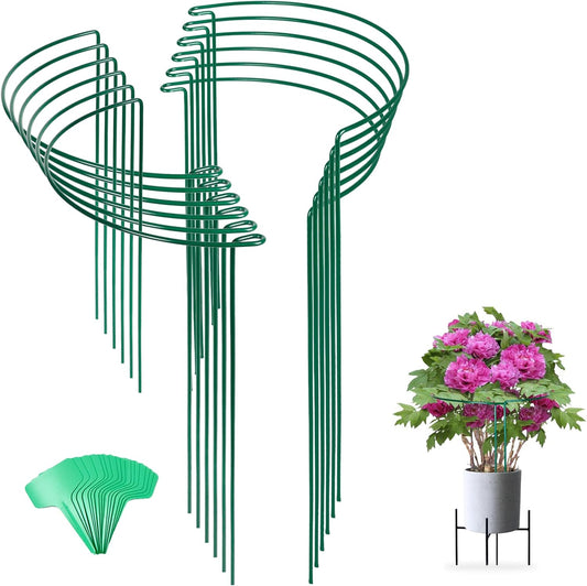 Tall Snake Plant Support Stakes for Indoor Plants - 24 Inch