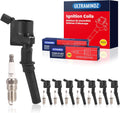 Ignition Coils DG508 & Spark Plugs SP493 for Ford 4.6L V8 - Engine