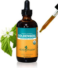 Goldenseal Liquid Extract for Respiratory Support - 4 Ounce