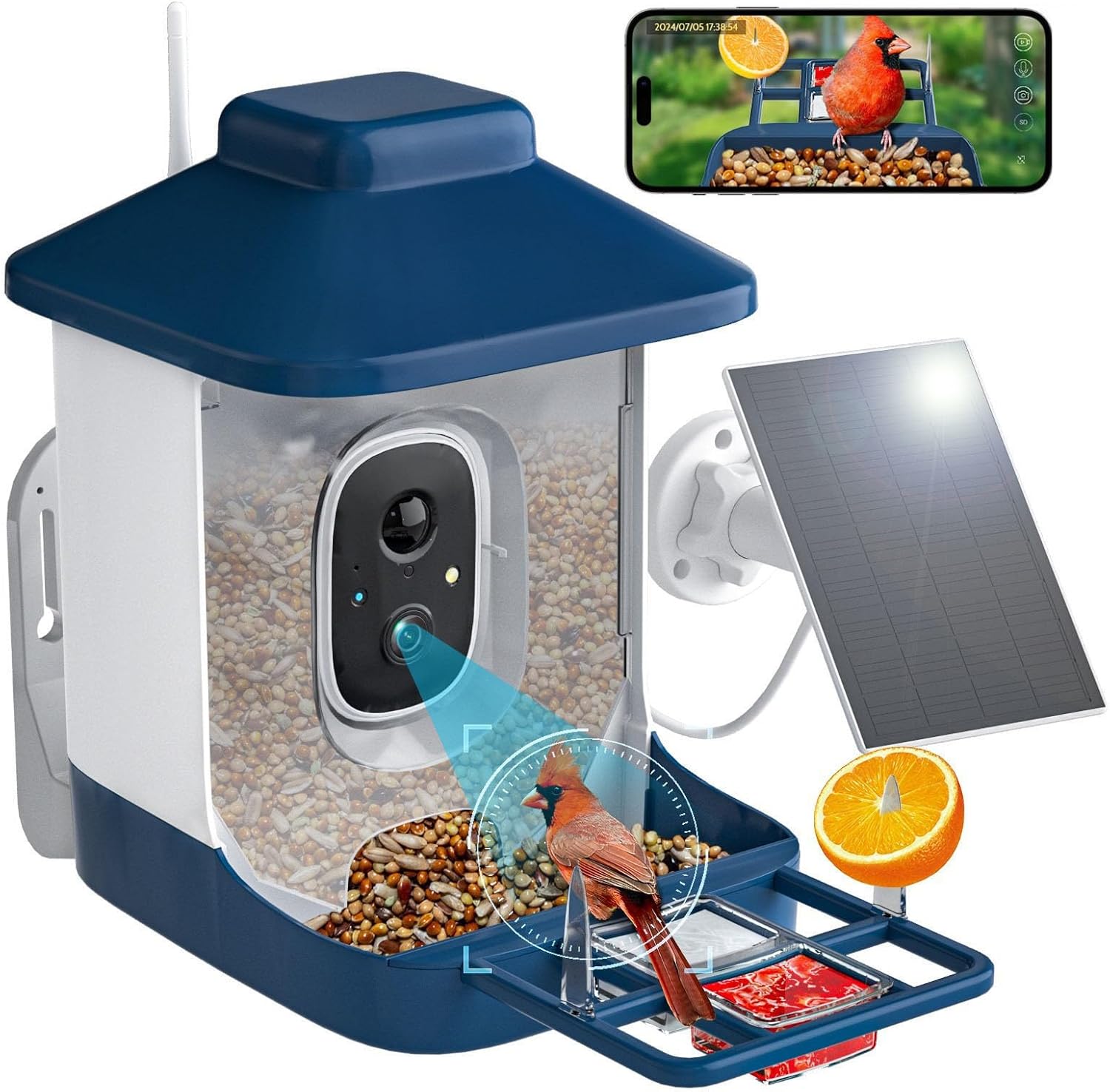 AI Bird Feeder: 1Yr Cam, Solar, WiFi, 1080p Video, Alerts!