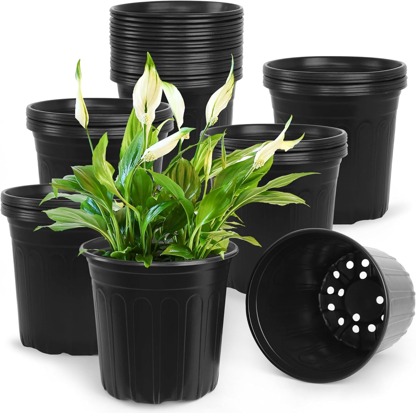 50 Pcs 2 Gallon Nursery Pots for Seedlings and Transplanting