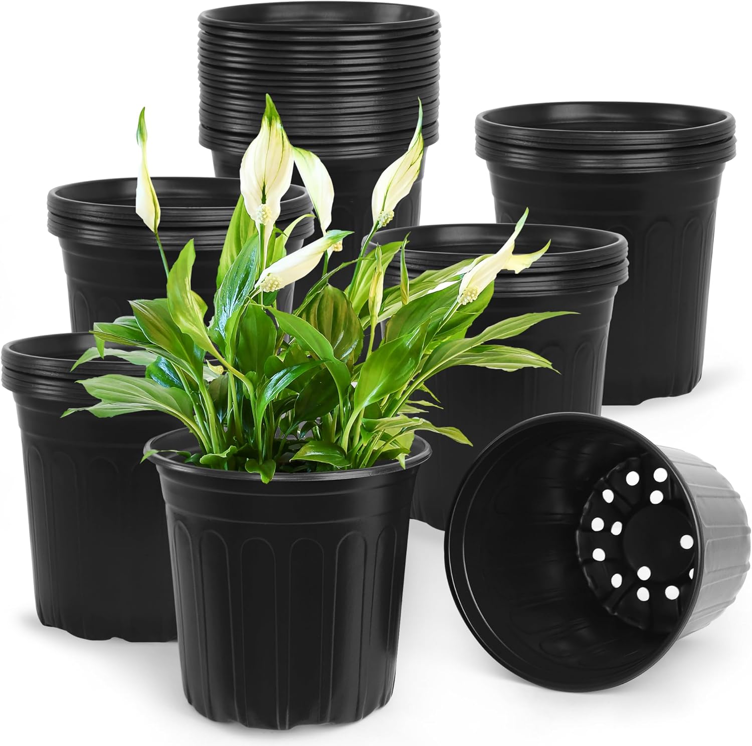 50 Pcs 2 Gallon Nursery Pots for Seedlings and Transplanting