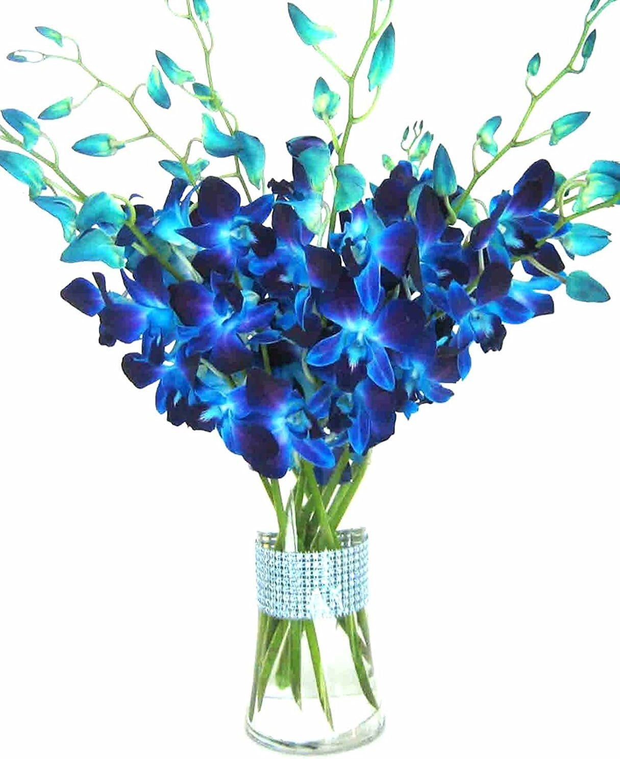 Premium Cut Blue Orchids with Rhinestone Mesh Ribbon Vase