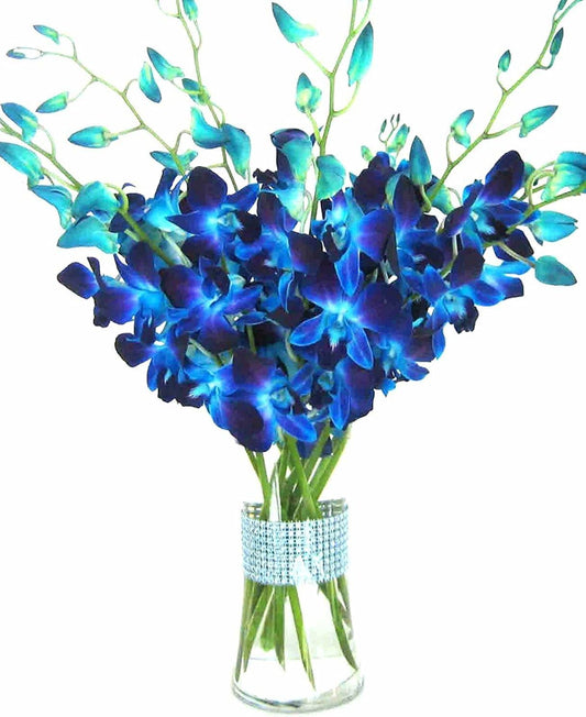 Premium Cut Blue Orchids with Rhinestone Mesh Ribbon Vase