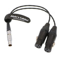XLR Breakout Audio Input Cable for Atomos Shogun - Balanced 10in