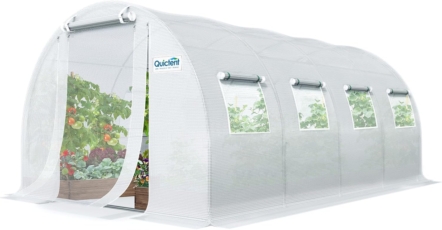 Quictent Premium 20x10x6.6FT Greenhouse for Outdoor Gardening