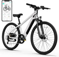 TST Electric Bike for Adults with 750W Motor and Removable Battery